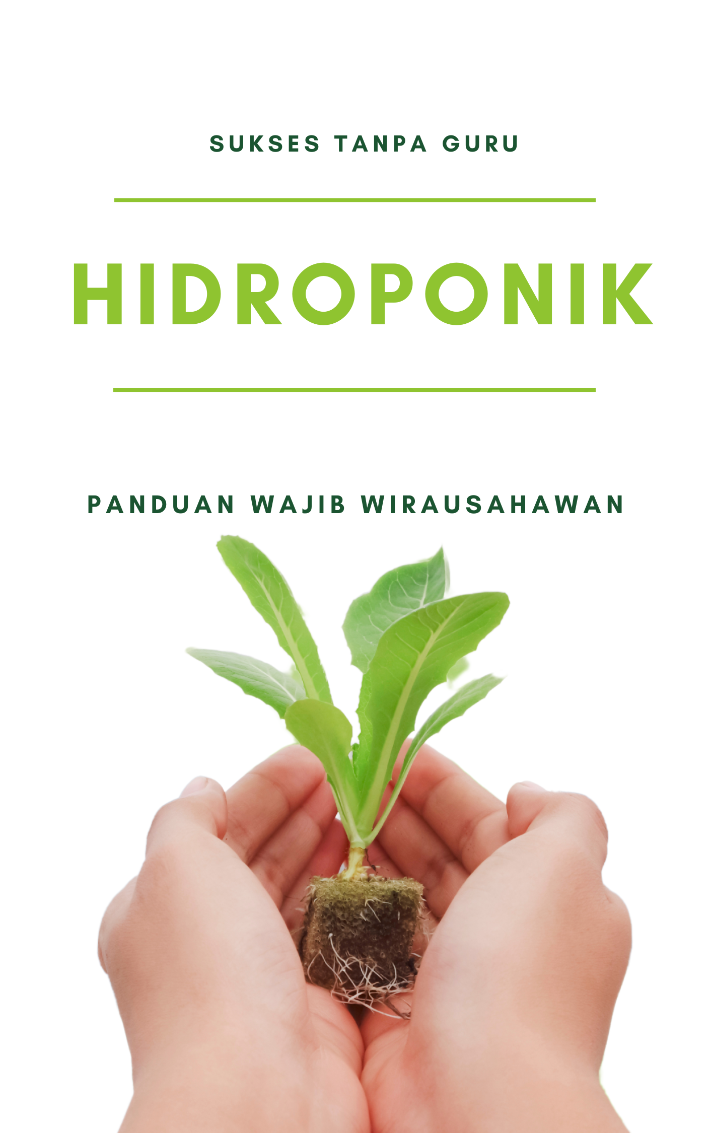 HIDROPONIK BAYAM